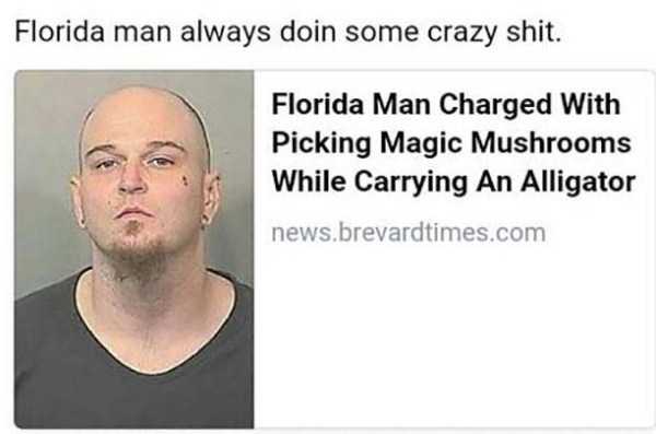 jaw - Florida man always doin some crazy shit. Florida Man Charged With Picking Magic Mushrooms While Carrying An Alligator news.brevardtimes.com