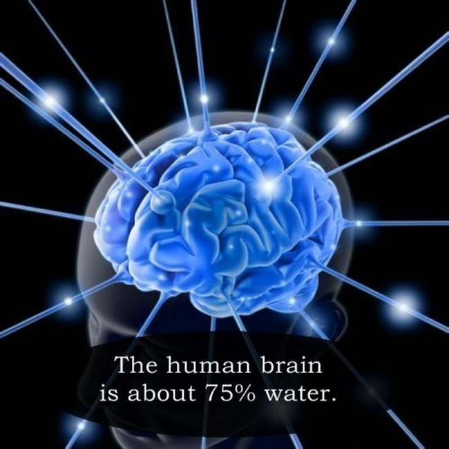 26 Astonishing Facts To Increase Your Knowledge