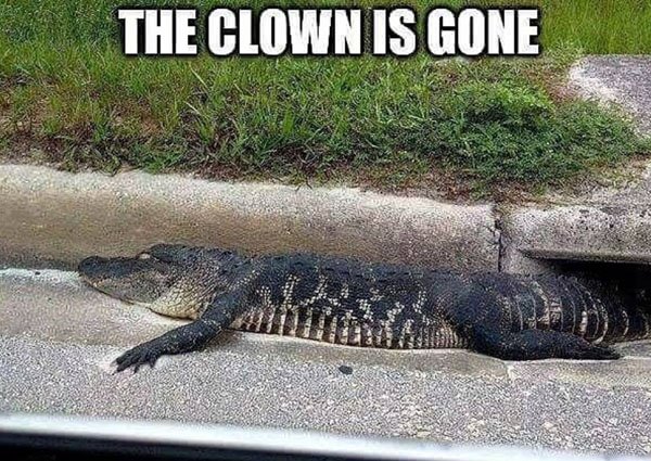 alligator clown is gone meme - Diary Buradi The Clown Is Gone