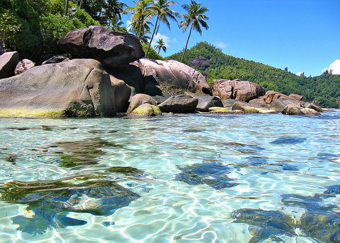 The Seychelles is an archipelago of 115 islands in the Indian Ocean, off East Africa. It's home to numerous beaches, coral reefs and nature reserves, as well as rare animals such as giant Aldabra tortoises.