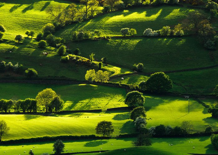 Lyth Valley in the Lake District, Cumbria, England. The unspoilt Lyth Valley is tucked in a hidden corner of Cumbria, where trees are laden with fruit and rolling hills are the most magnificent green.
