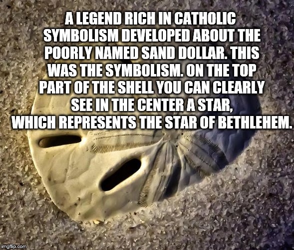 Legend of the SAND DOLLAR