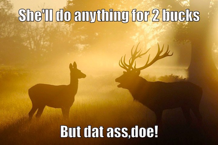 a funny pic to fawn over