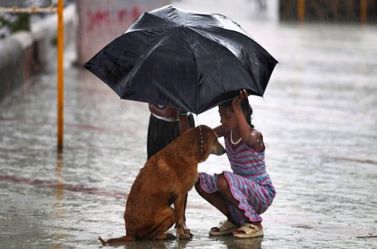 37 Heart-Warming images
