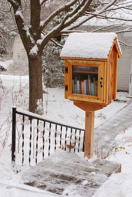 Build a free library for your neighbors.