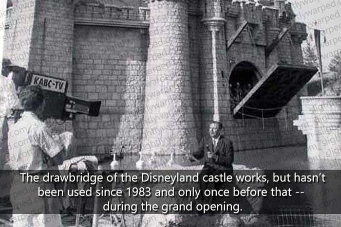 50 Things You Didn't Know About Disney Theme Parks