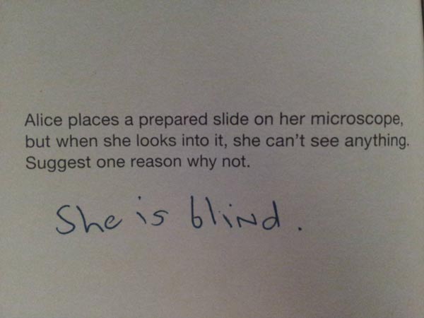 21 Students That Tried To Outsmart The Teacher