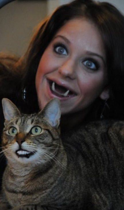 25 Horrifying And Hilarious Animal Face Swaps