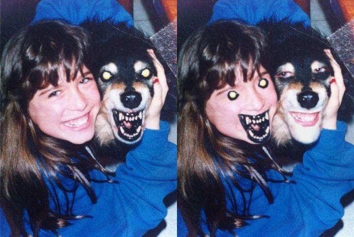 25 Horrifying And Hilarious Animal Face Swaps