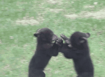 Awesomely Anitmated GIFs