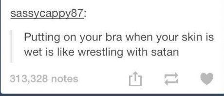 tumblr - organization - sassycappy87 Putting on your bra when your skin is wet is wrestling with satan 313,328 notes