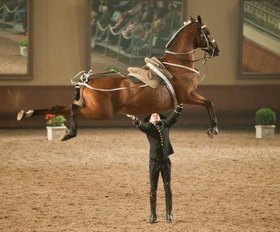 20 Perfectly Timed Photos