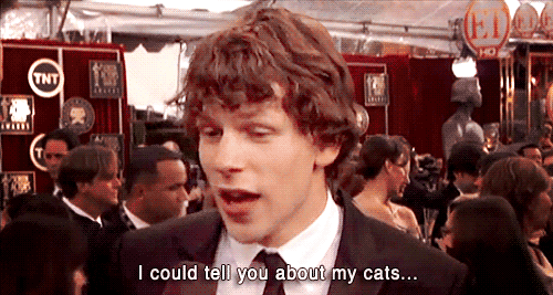 jesse eisenberg and his cats - I could tell you about my cats...