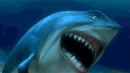 laughing shark gif