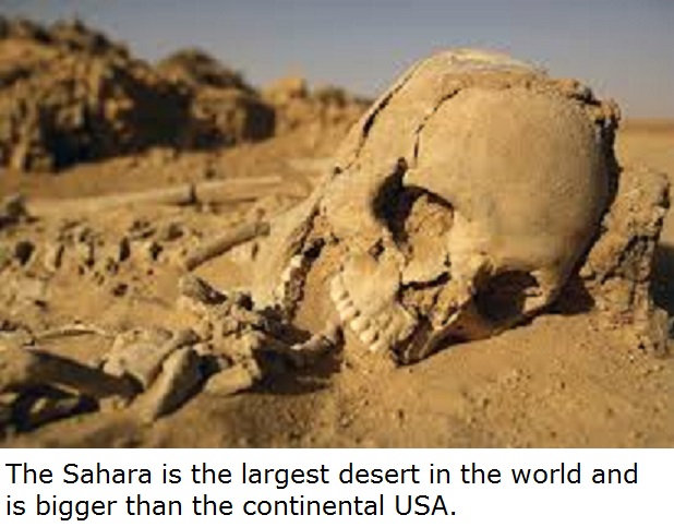 skeleton in the desert - The Sahara is the largest desert in the world and is bigger than the continental Usa.