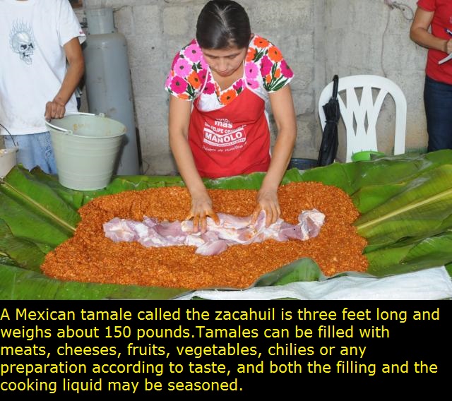 21 Interesting Facts About Mexico