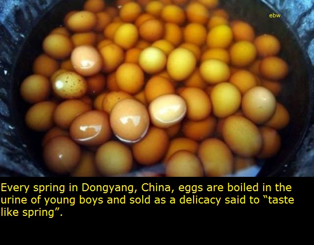 chinese urine eggs - ebw Every spring in Dongyang, China, eggs are boiled in the urine of young boys and sold as a delicacy said to "taste spring".