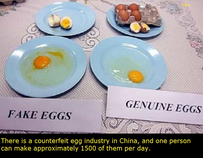 fake eggs vs real eggs - Ebw Genuine Eggs Fake Eggs There is a counterfeit egg industry in China, and one person can make approximately 1500 of them per day.