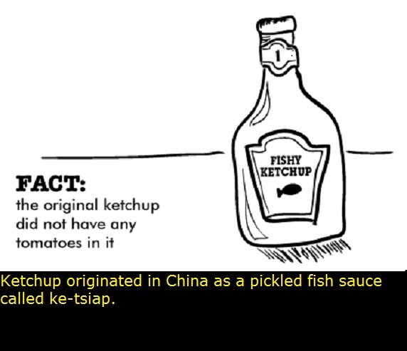 cartoon - Fishy Ketchup Fact the original ketchup did not have any tomatoes in it Ketchup originated in China as a pickled fish sauce called ketsiap.
