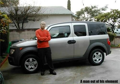 honda element - Aman out of his element