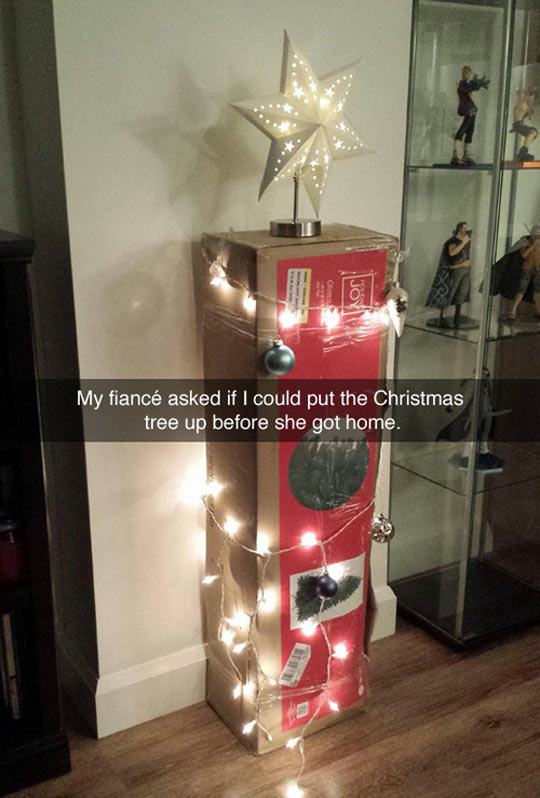 My fianc asked if I could put the Christmas tree up before she got home.