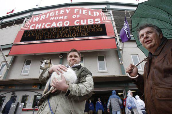 The Curse of the Billy Goat: Any explanation for the Cubs misfortune is a welcome respite to the horribleness of being a fan of the team. The scapegoat has become an actual goat that was dismissed from a World Series game against the Tigers for being too stinky, and it’s owner who cursed the team upon leaving. That was the last year the Cubs ever won a pennant, much less the World Series.
