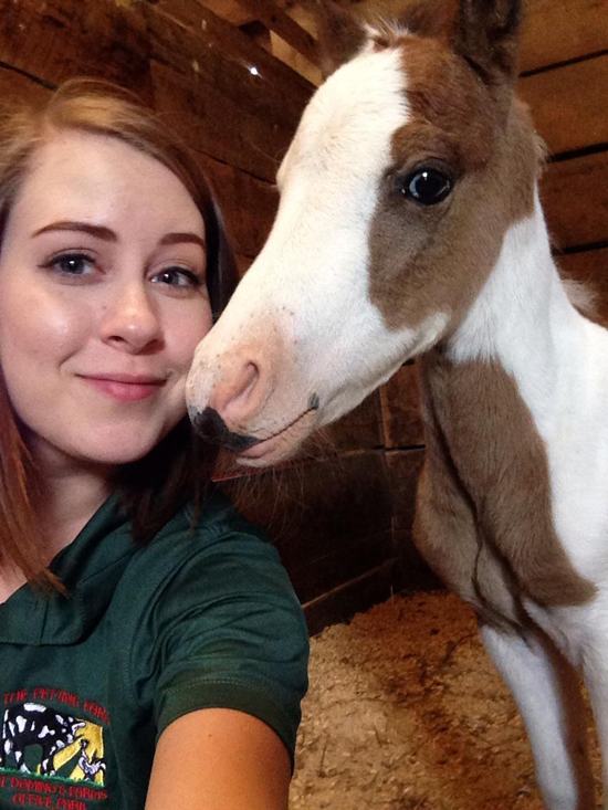 20 Animals That Just Want to be in Your Selfie