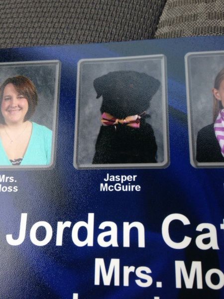 The high school that put Jasper — a student’s service dog — in the yearbook.