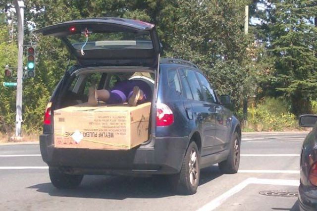 37 Situations That Totally Deserve a Facepalm