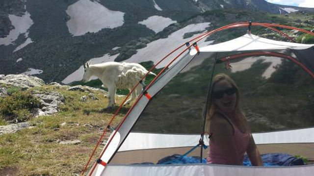 16 Images That Prove Camping Is Not For Everyone