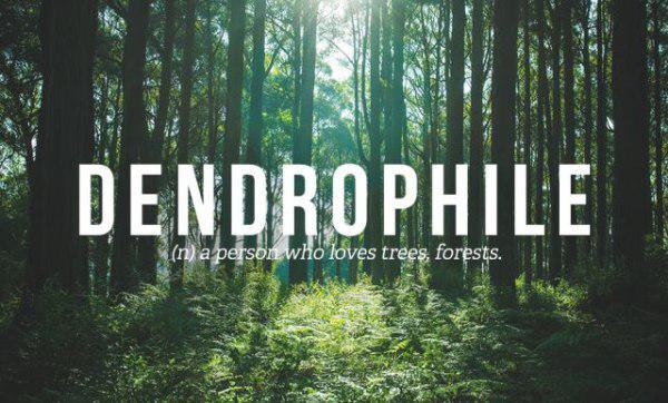 person who loves nature - Dendrophile n a person who loves trees, forests.