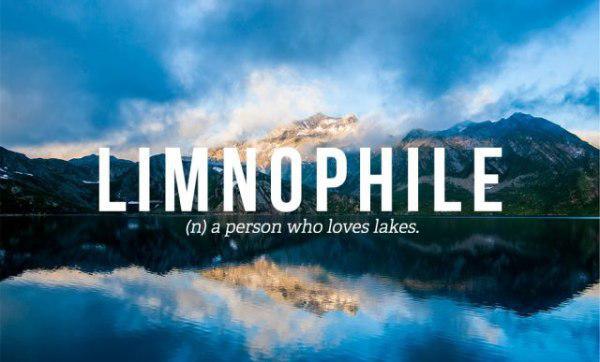 nyctophile meaning - Limnophile n a person who loves lakes.