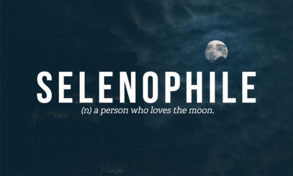 another word for moon lover - Selenophile n a person who loves the moon.