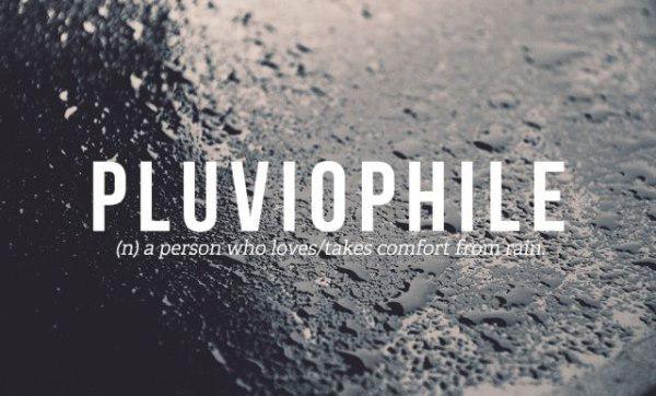 pluviophile - Pluviophile n a person who lovestakes comfort from tam