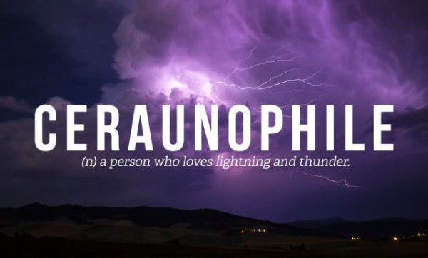 merinthophilia - Ceraunophile n a person who loves lightning and thunder.