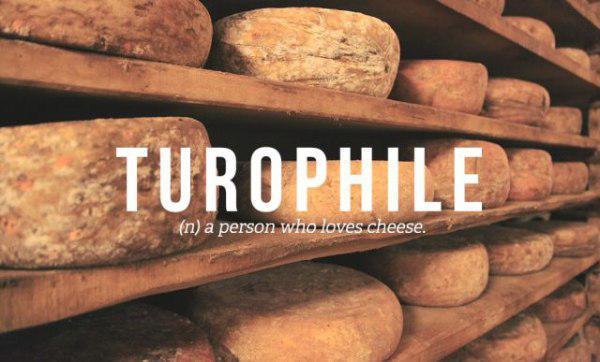 person who loves cheese - Turophile n a person who loves cheese.