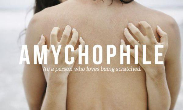 shoulder - Amychophile n a person who loves being scratched.