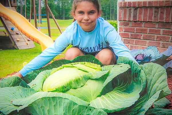 In 2008, third-grader Katie Stagliano participated in a cabbage growing program at school. She didn’t expect it would grow to be 40 pounds. She decided to donate it to a soup kitchen, where it helped feed almost 300 people. After that, the bug set in and Katie’s Krops was born. With 49 gardens in 22 states, the group donates thousands of pounds of produce each year to different organizations that help those in need.