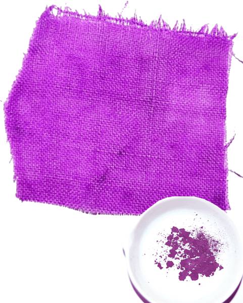 Tyrian Purple, the most expensive dye in the world currently worth close to $100,000 an ounce.