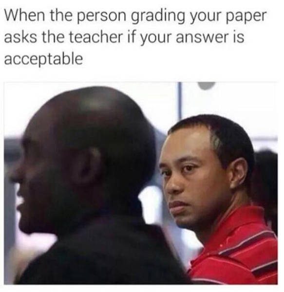 Tiger Woods meme about when person grading your paper asks question regarding if your answer is acceptable.