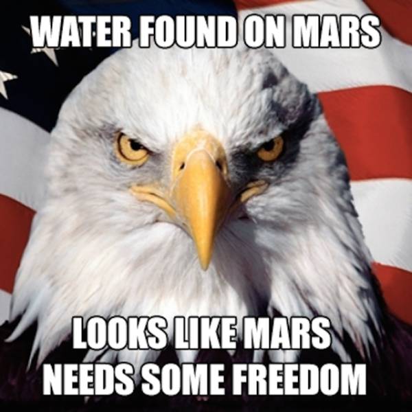 Hilarious meme of an eagle and how we found some Water On Mars and it might be time to bring some freedom to Mars.