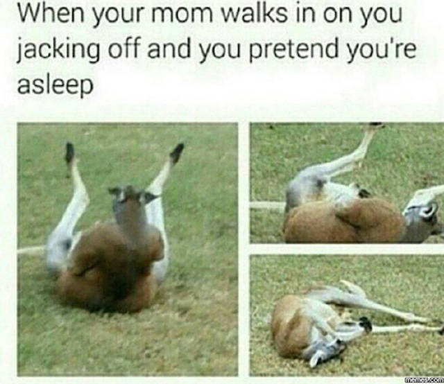 Hilariously funny meme of a kangaroo on the ground, rolling on his back, and caption about how it is when your mom walks in why your are fapping and your pretend you are sleeping.