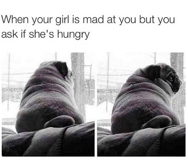Hilarious meme of a pug compared to when your girl is made at you but you ask if she's hungry.