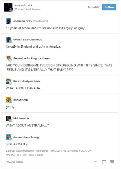 tumblr - web page - you stupid prick creameddcheese tumblr. charmanders Deactivated 13 years of school and I'm still not sure if it's "grey" or "gray overanonymous It's grEy in England and gray in America. themotherfuckingmarchesa Are You Kidding Me I'Ve 