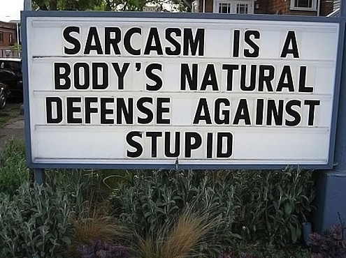 Sarcasm Is Underrated