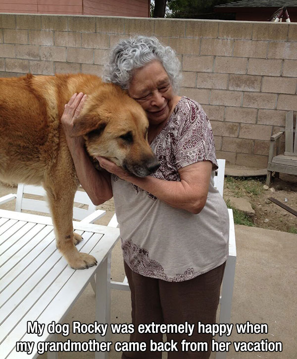 most loyal animals - A My dog Rocky was extremely happy when my grandmother came back from her vacation