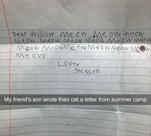 handwriting - Dear willow meow meow meow Meow meow meow meow meow meow Meow meowmeow meow meow meow Meow I Love, Jackson My friend's son wrote their cat a letter from summer camp