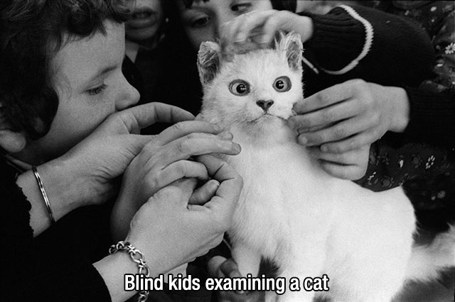jane evelyn atwood - Blind kids examining a cat