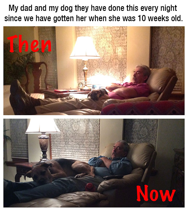 couch - My dad and my dog they have done this every night since we have gotten her when she was 10 weeks old. en Now