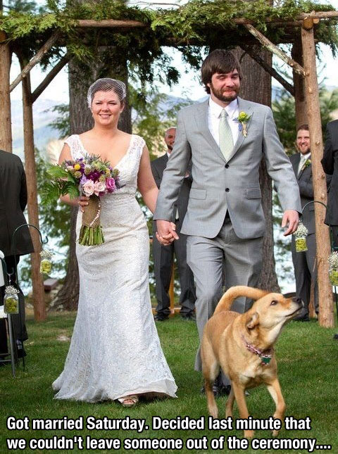 dog wedding photobomb - Got married Saturday. Decided last minute that we couldn't leave someone out of the ceremony....